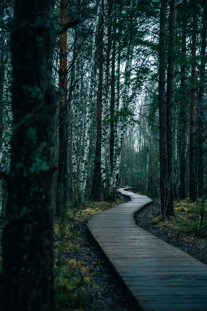 Sony A7m3  Viltrox 85/1.8