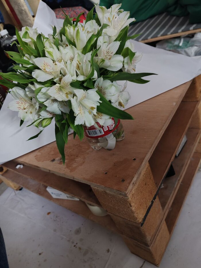 Поддон с мусорки для хейтеров!