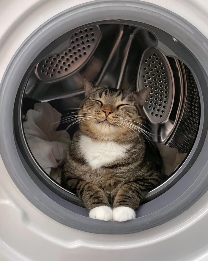    ,  , , , 