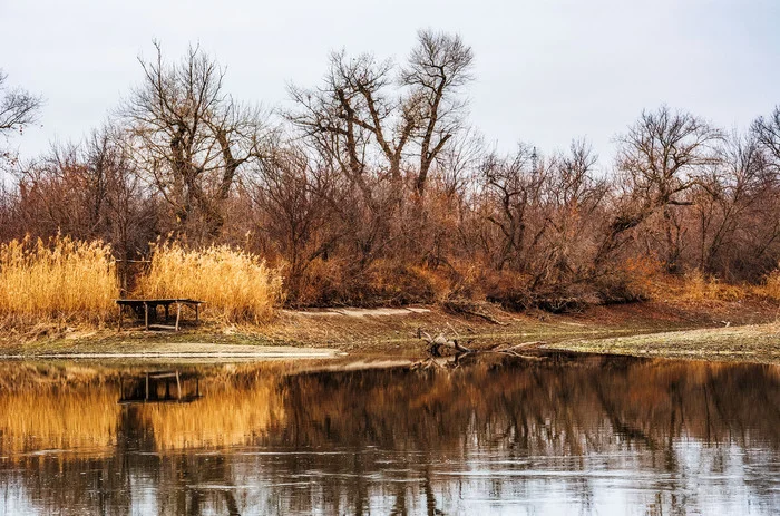 Wilds - My, The photo, Nikon, Nature, Landscape, Reeds, Bridge, River, Seversky Donets, Autumn