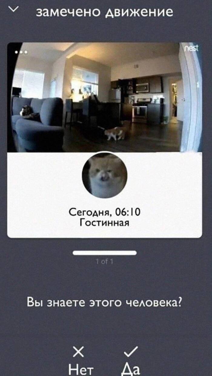   )) ,   , ,  , 