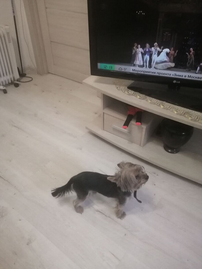 "������� ��� ����-������, �� ��� �� �����". ��� ��������� ����� �� ����������� "�������"