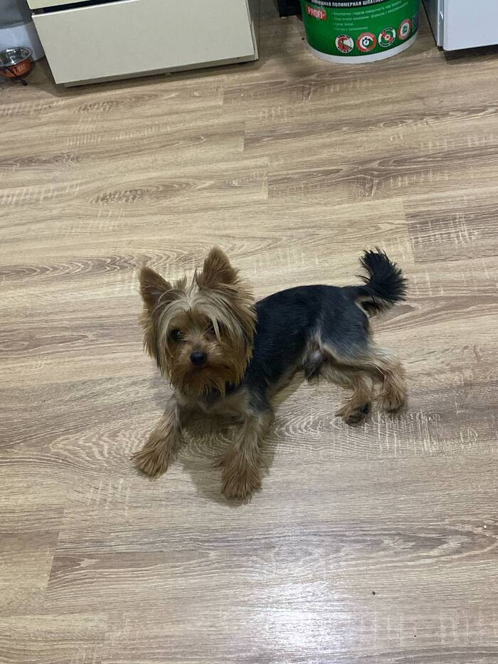 "������� ��� ����-������, �� ��� �� �����". ��� ��������� ����� �� ����������� "�������"