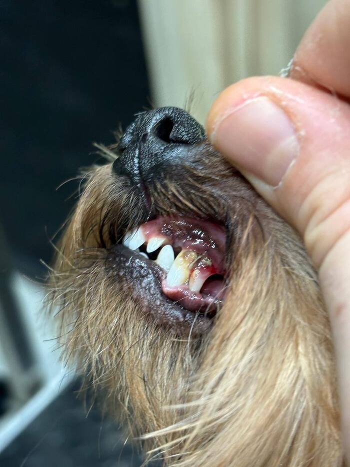 "������� ��� ����-������, �� ��� �� �����". ��� ��������� ����� �� ����������� "�������"