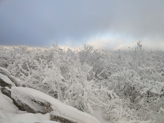 Перекусил и пора назад.