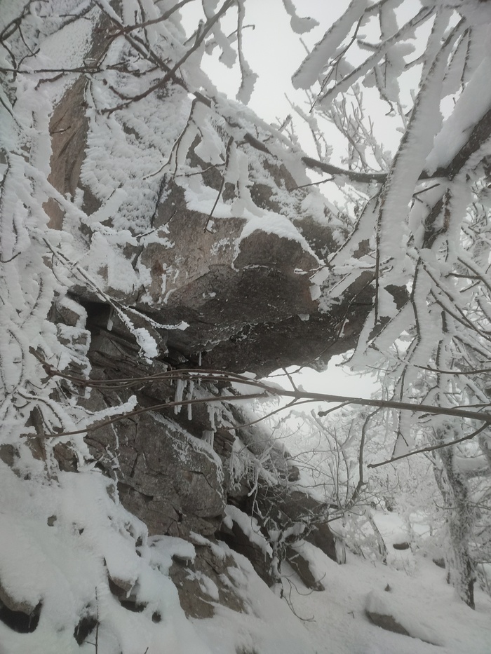 Оставляю корм для птичек и лисы. Надеваю новые теплые носки.