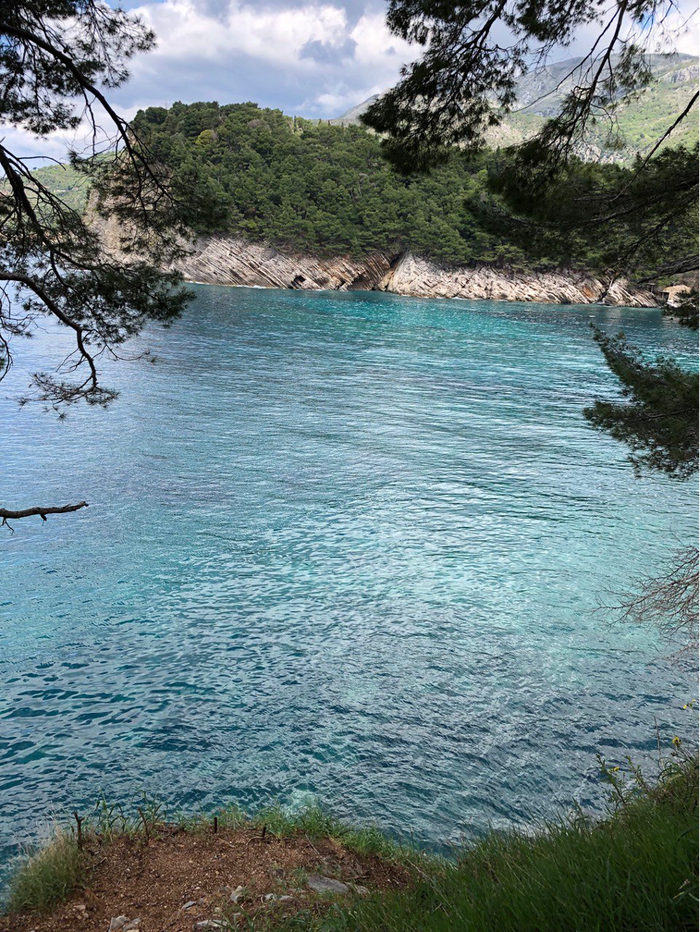 Побережье Адриатического моря, везде сосны, красота