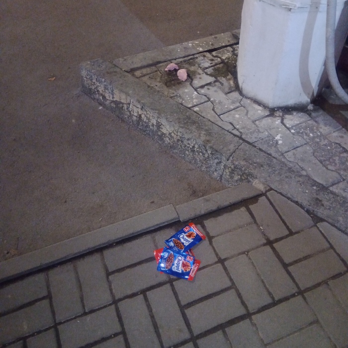 Даже не свиньи