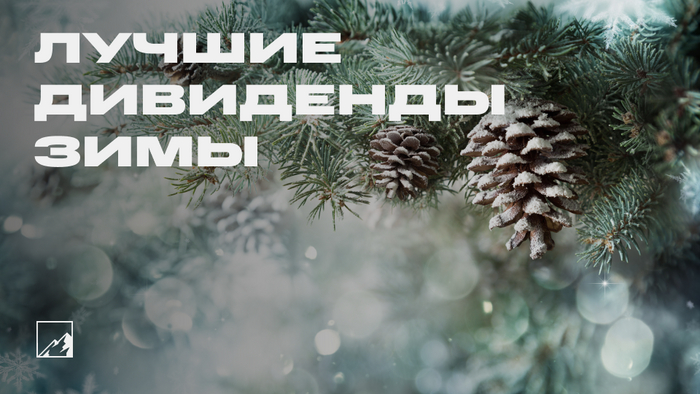 ���-10 ���������� ���� 2024/2025 � ����� ������� ���������