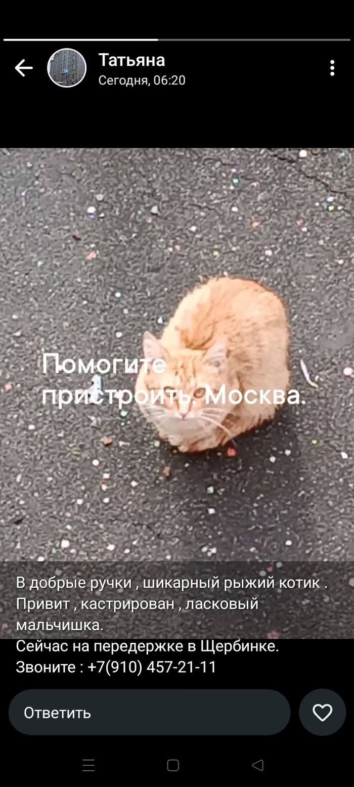   * ,   ,  , ,  ,  , 
