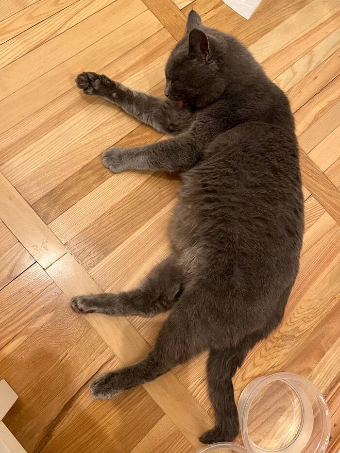 ������ ���� (�����������)