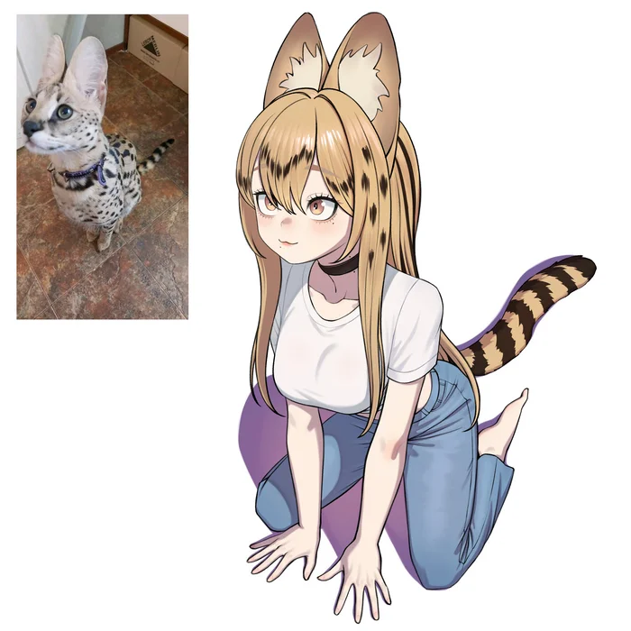 Serval - Аниме, Anime Art, Арт, Девушки, Сервал, Хуманизация, 2D vs 3D, Хвост, Animal Ears