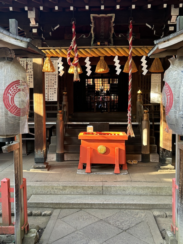 ���� ����� 