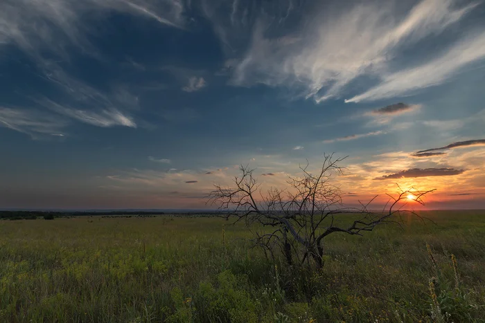 The crickets begin to sing - My, Steppe, Sunset, Rostov region, Landscape