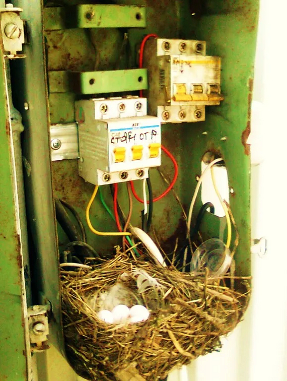 Жизнь продолжается