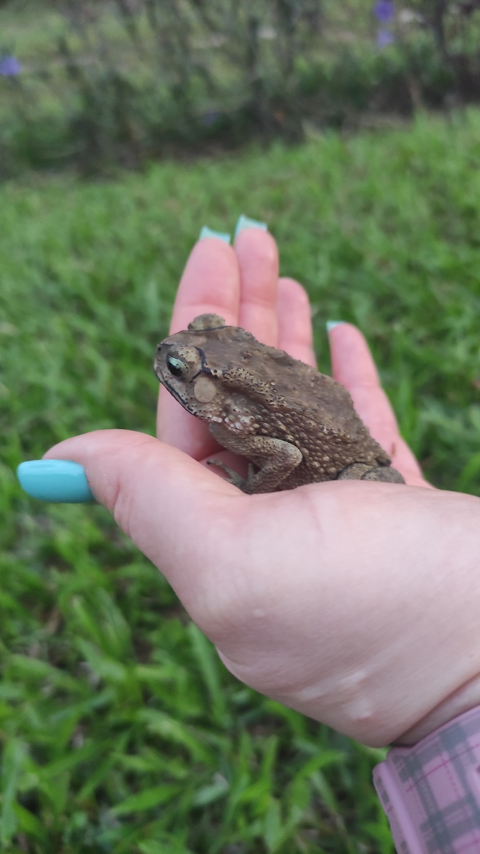    - It Is Wednesday My Dudes, , , , , 