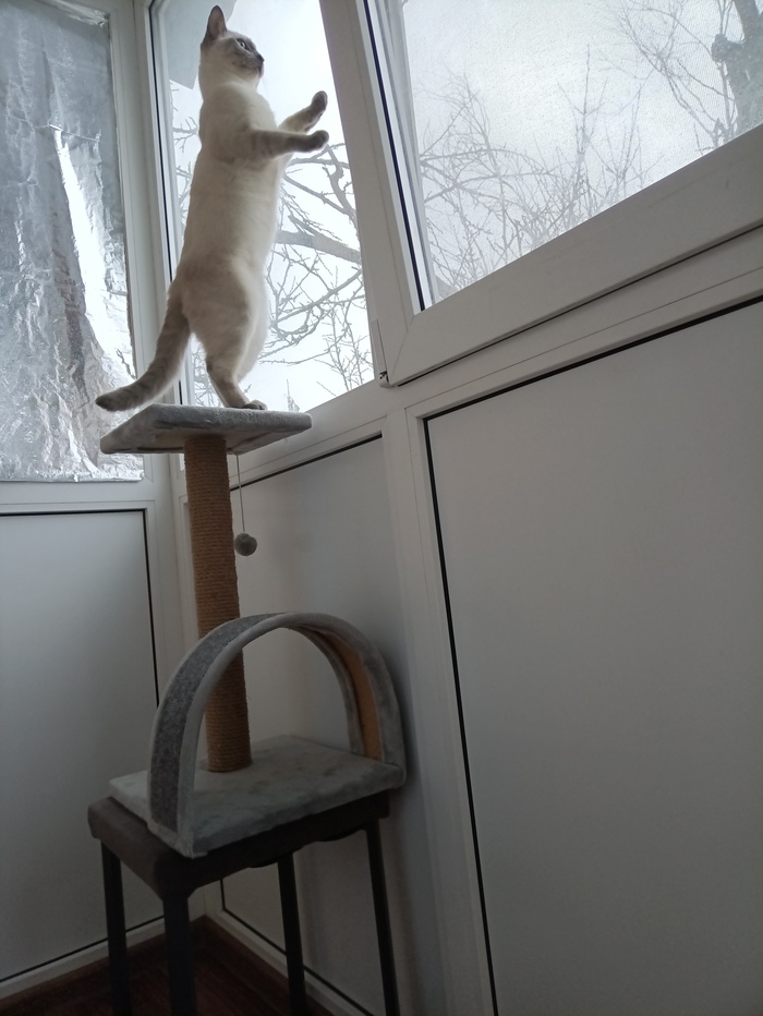 Новый наблюдательный пункт