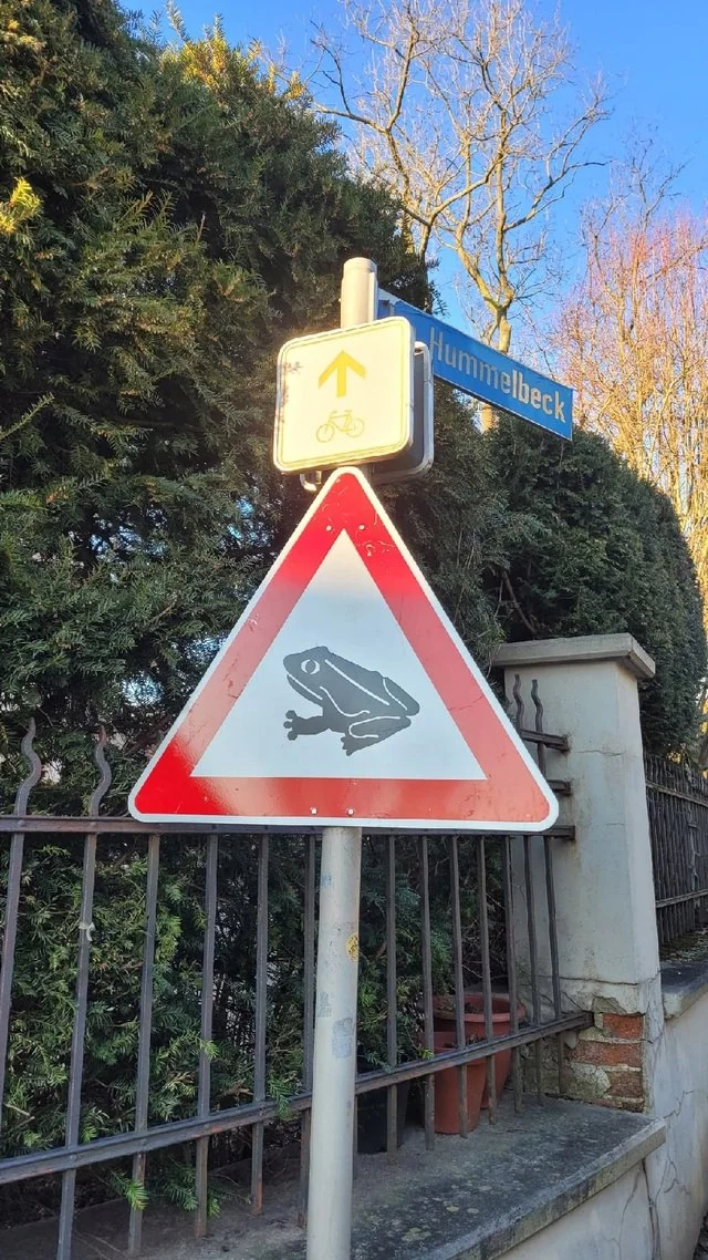 Be careful - It Is Wednesday My Dudes, Frogs, Toad, Wednesday, Road sign, The photo