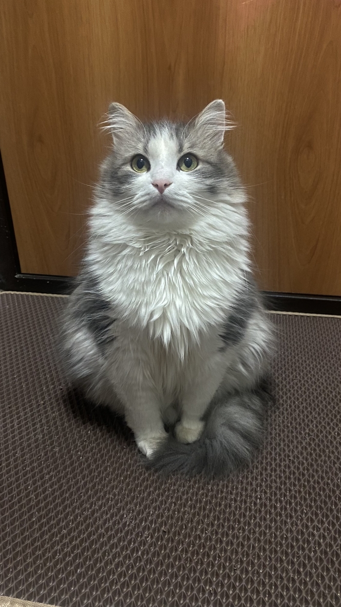 ����� �� �������