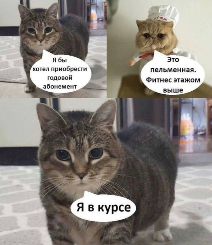    ,   , Telegram (), , 