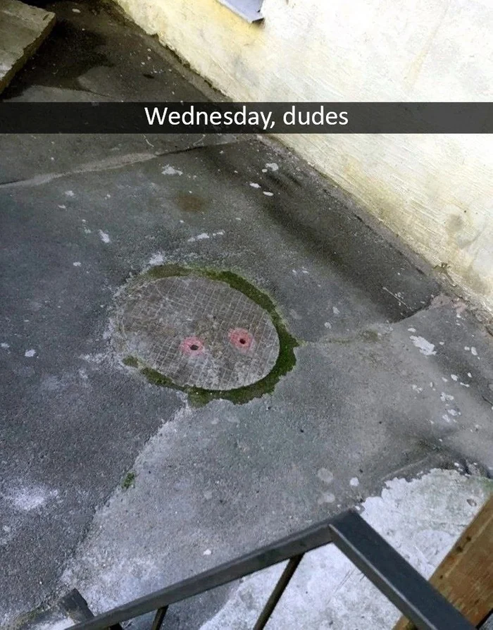 Quanization - Humor, The photo, Toad, Sewer hatch, It Is Wednesday My Dudes, Blockage