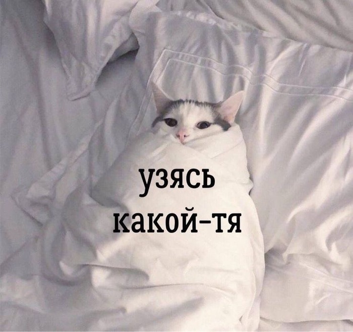 Мой первый пост!