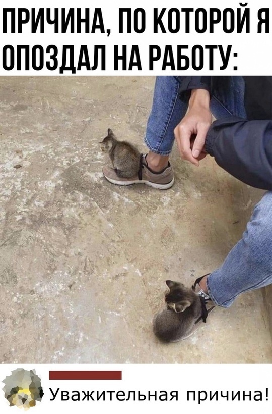    , , , ,  , , , 