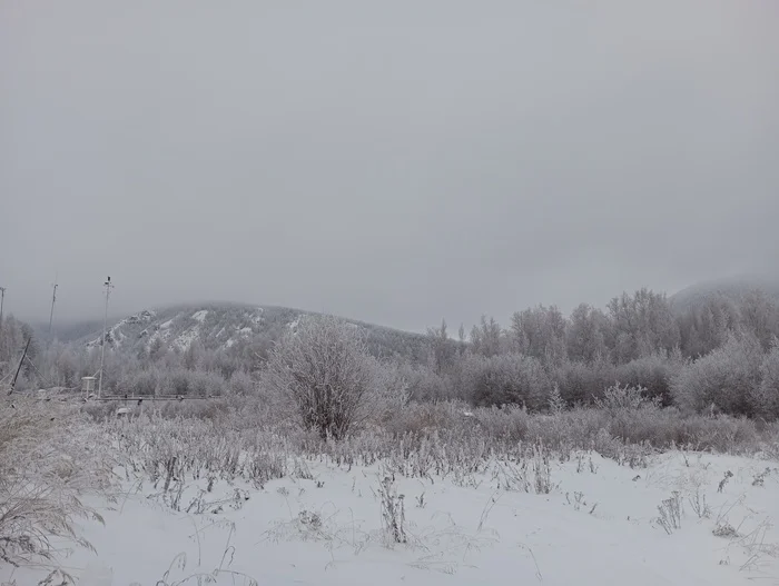 Life on TDS in the Taiga. The Beauty of Frost - My, Taiga, Weather station, Rime, Natural beauty, Holidays, Longpost, Dog