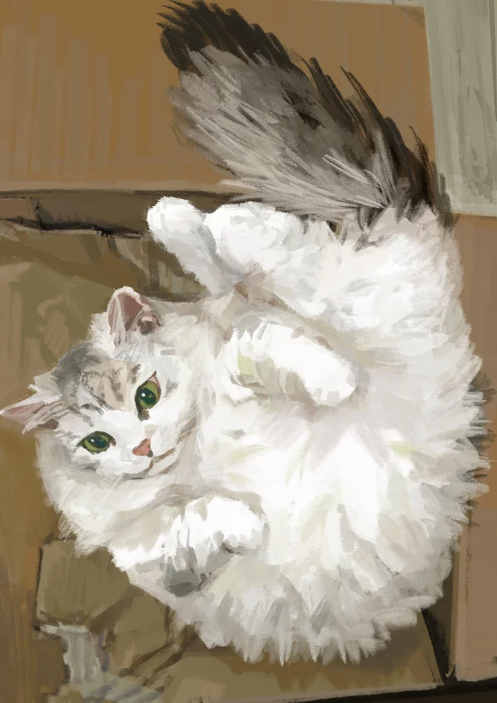 Deadly Boxman - Art, cat, Package, Box