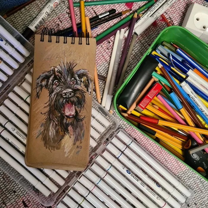 For the first time a dog portrait! - My, Handmade, Graphics, Sketch, Drawing, Sketchbook, Pencil drawing, Colour pencils, Traditional art, Longpost