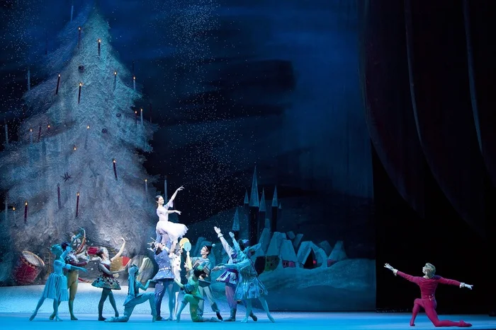 Tickets for The Nutcracker at the Bolshoi at the SBER auction - My, Lawyers, Services, Bargaining, The culture, The Bolshoi Theatre, Ballet, Nutcracker