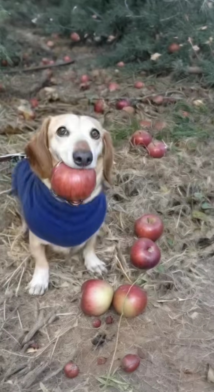 ������ ������ ������ ����� ��� ������� � �������� � � ������ ������������