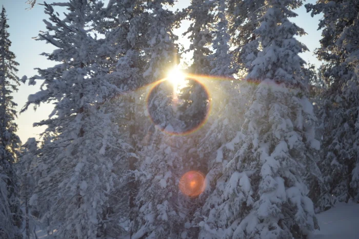 Sunny spherical bunny - My, The photo, Winter, Snow, Optical illusions, Helios 40