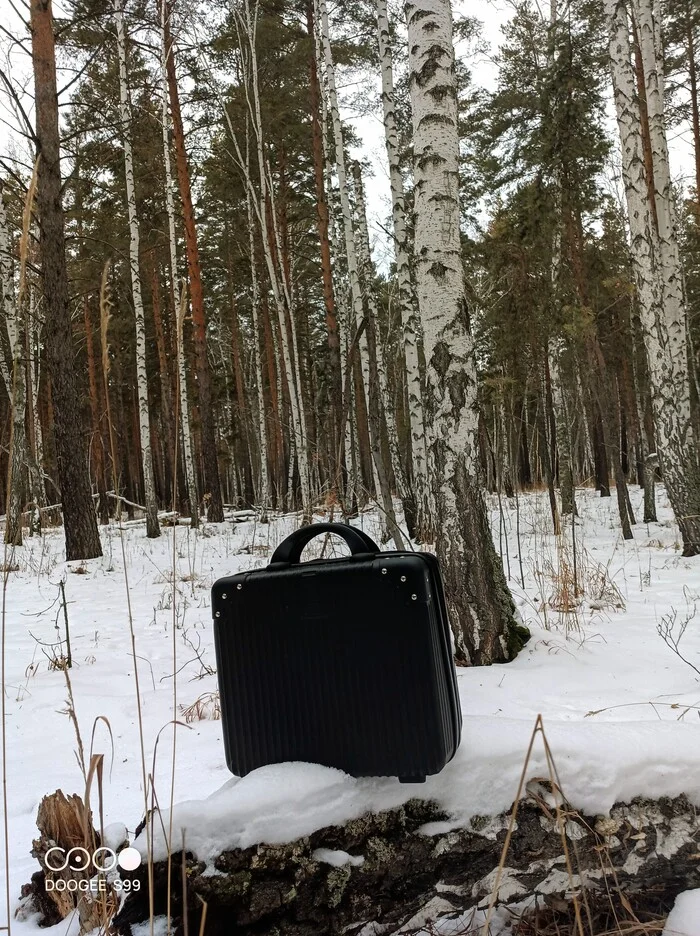 Work in Chernolesye - My, Black magic, Spoilage, Winter, Forest, Longpost