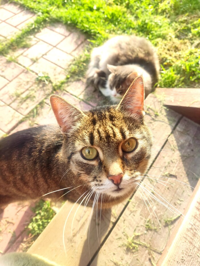 ��� ��������? ���