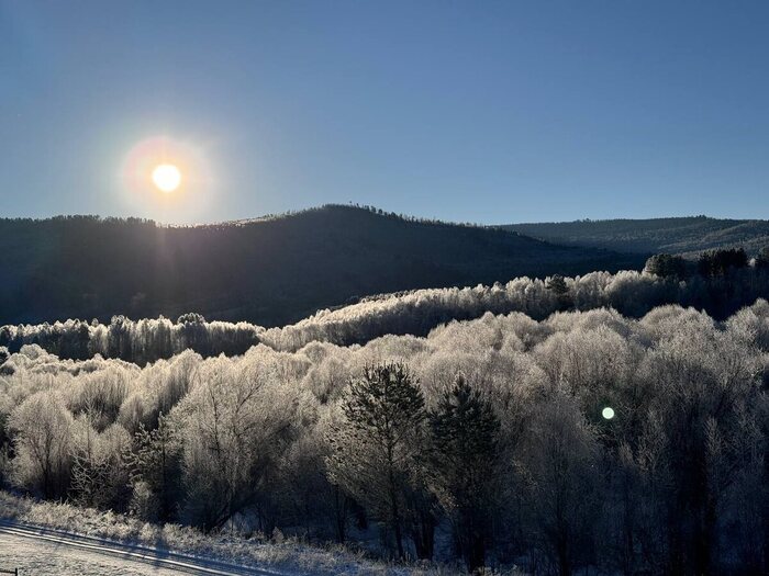 Таежное утро