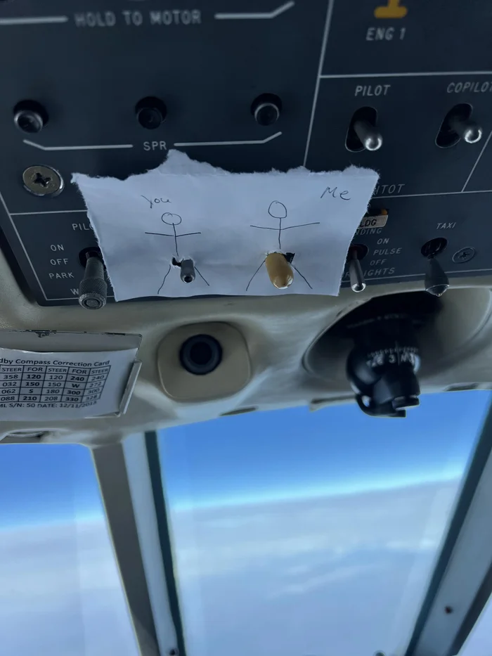 A joke from the co-pilot - Airplane, Control panel, Pilot, Toggle switch, Drawing, Cockpit