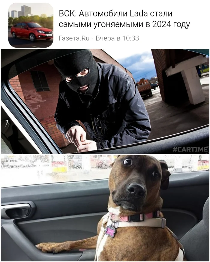 Hijackings... - My, Auto, Humor, Car theft, Dog