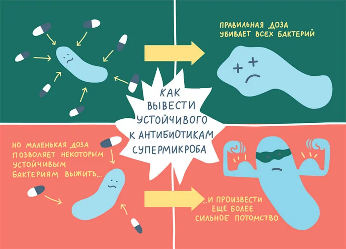 Новое поколение антибиотиков - Моё, Наука, Ученые, Исследования, Антибиотики, Бактерии, Вирус, Препараты, Наукаpro, Научпоп