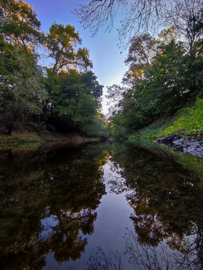 Mius River - My, Mius, Rostov region, River, Tree, Longpost, Nature, The photo