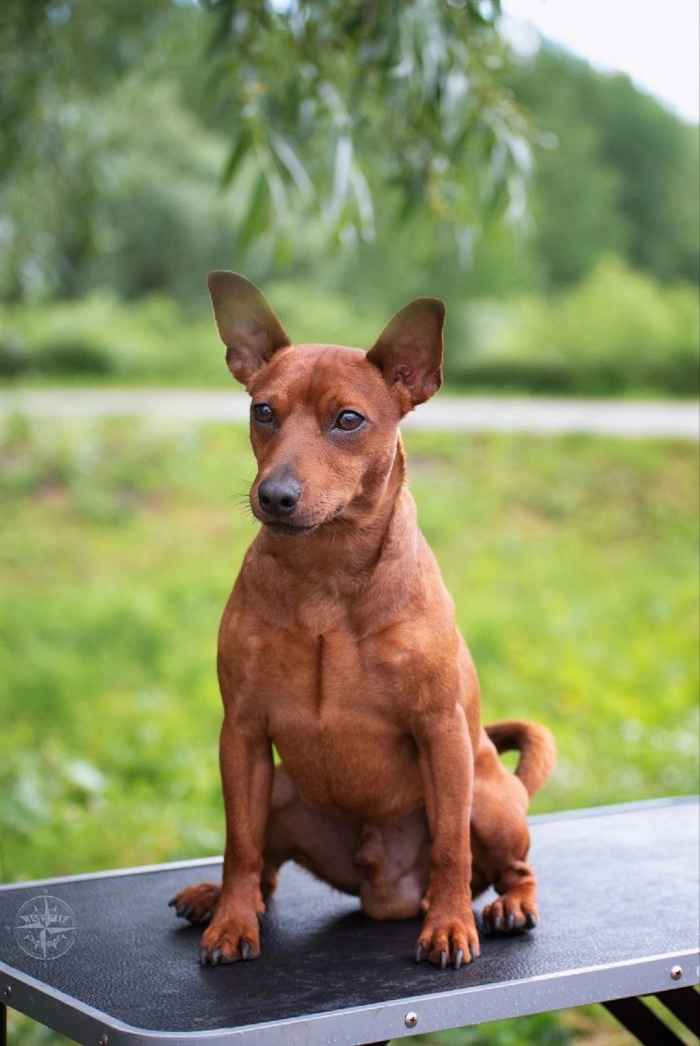 Перед первой выставкой