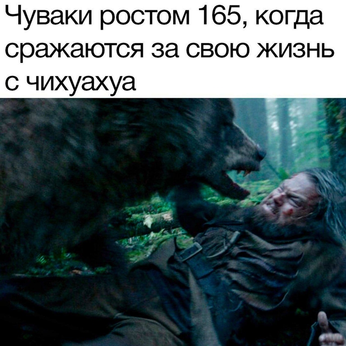 �� ���������� �� ���� ����