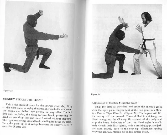 Monkey style - Humor, Monkey, Kung Fu