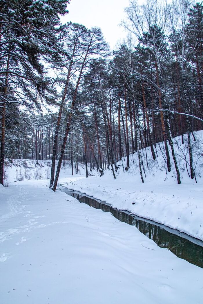  . : <a href="https://pikabu.ru/story/gde_iskat_prirodu_v_tyumeni_12101703?u=https%3A%2F%2Fvk.com%2Fid1704480&t=%D0%9D%D0%B0%D1%82%D0%B0%D1%88%D0%B0%20%D0%93%D0%B0%D0%B1%D1%80%D1%83%D1%81%D1%8C%20%2F%20%D0%92%D0%9A%D0%BE%D0%BD%D1%82%D0%B0%D0%BA%D1%82%D0%B5&h=59aaa94730ae18c8d8f6ed22cc8b548017f0ae44" title="https://vk.com/id1704480" target="_blank" rel="nofollow noopener">  / </a>