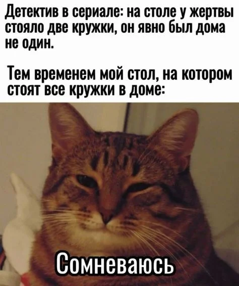 I doubt - Humor, Picture with text, cat, Кружки, Detective