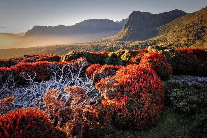 International Jury Announces Winners of International Garden Photographer of the Year Competition - Crossposting, Pikabu publish bot