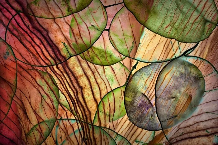 International Jury Announces Winners of International Garden Photographer of the Year Competition - Crossposting, Pikabu publish bot