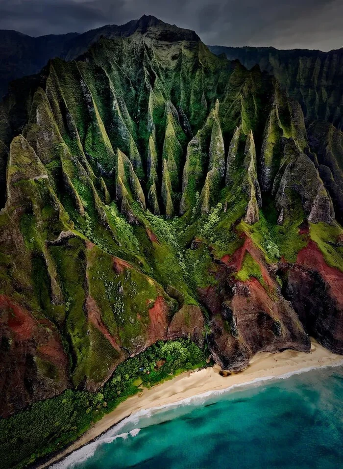 International Jury Announces Winners of International Garden Photographer of the Year Competition - Crossposting, Pikabu publish bot