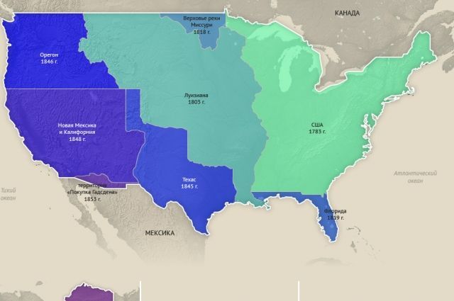Двоюродный братец собаки и его непростая история