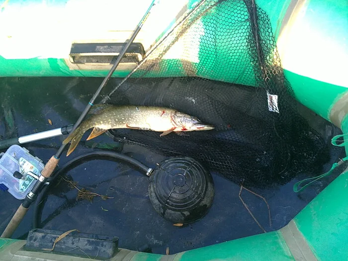 The first pike - My, Pike, Luhansk, Fishing